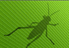 Grasshopper